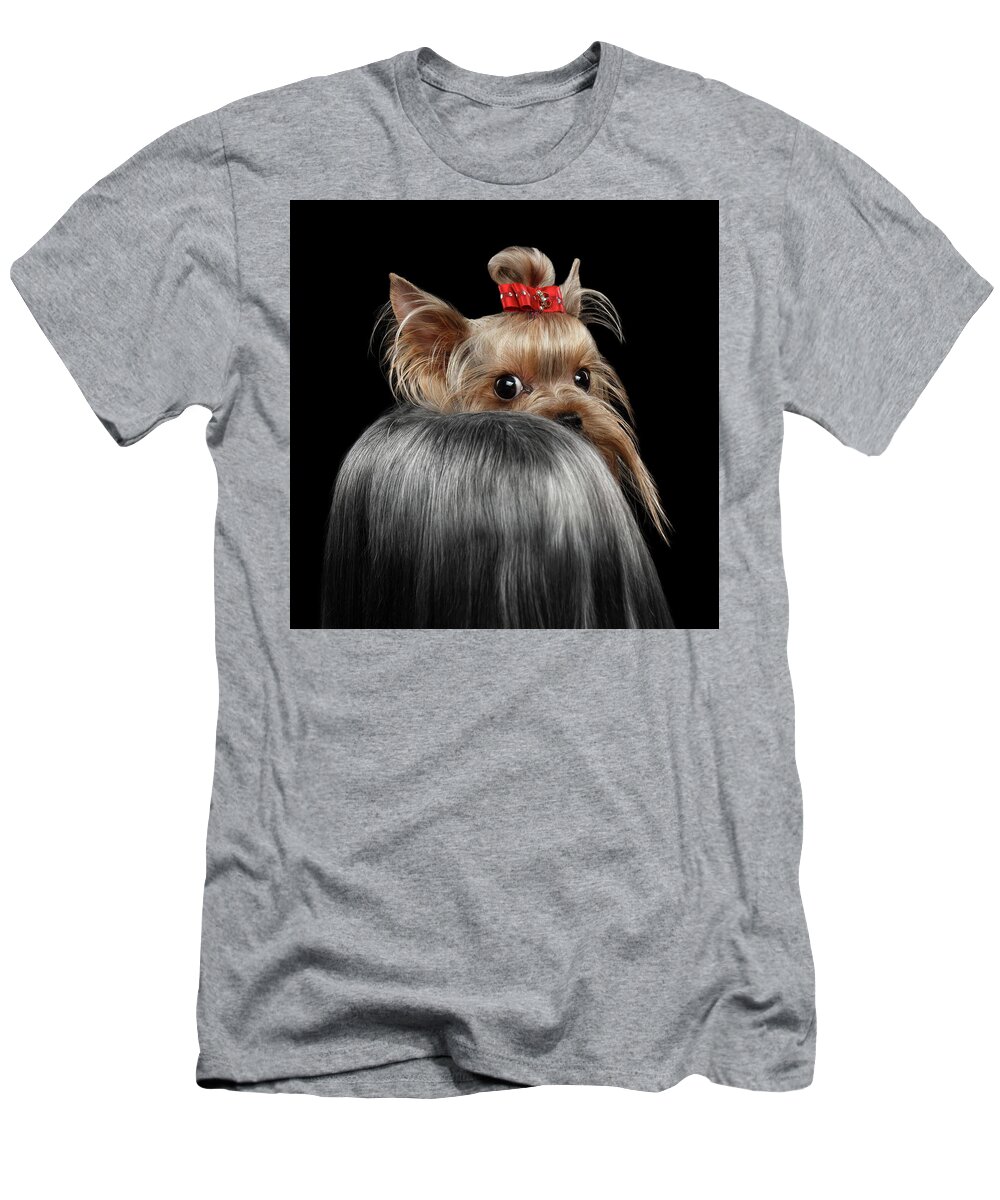  Closeup T-Shirt featuring the photograph Closeup Yorkshire Terrier Dog, long groomed Hair Pity Looking back by Sergey Taran