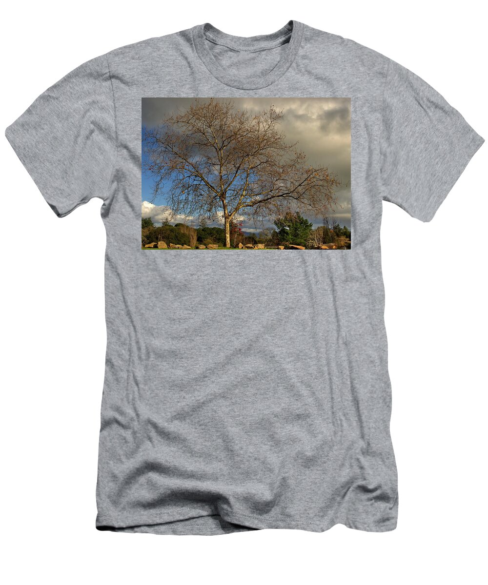 December Skies T-Shirt featuring the photograph Cloudy Landscape					 by Richard Thomas