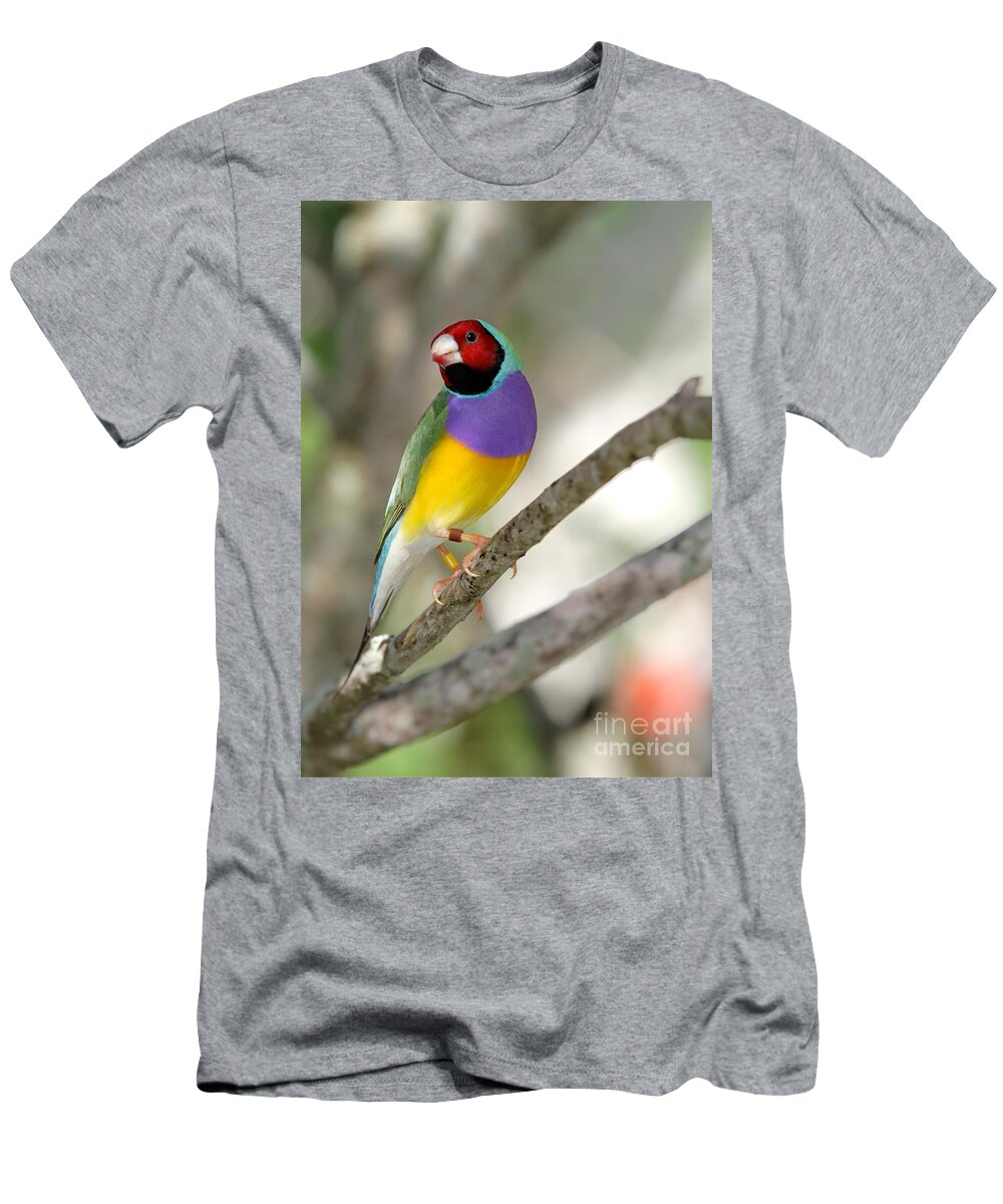 Landscape T-Shirt featuring the photograph Colorful Gouldian Finch by Sabrina L Ryan