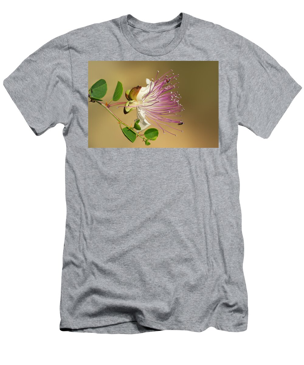 Common Caper T-Shirt featuring the photograph Common Caper by Yuri Peress