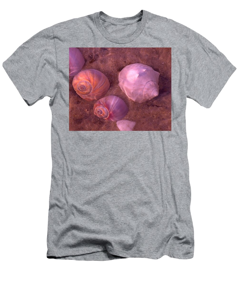 Seas T-Shirt featuring the photograph Conch by Newwwman