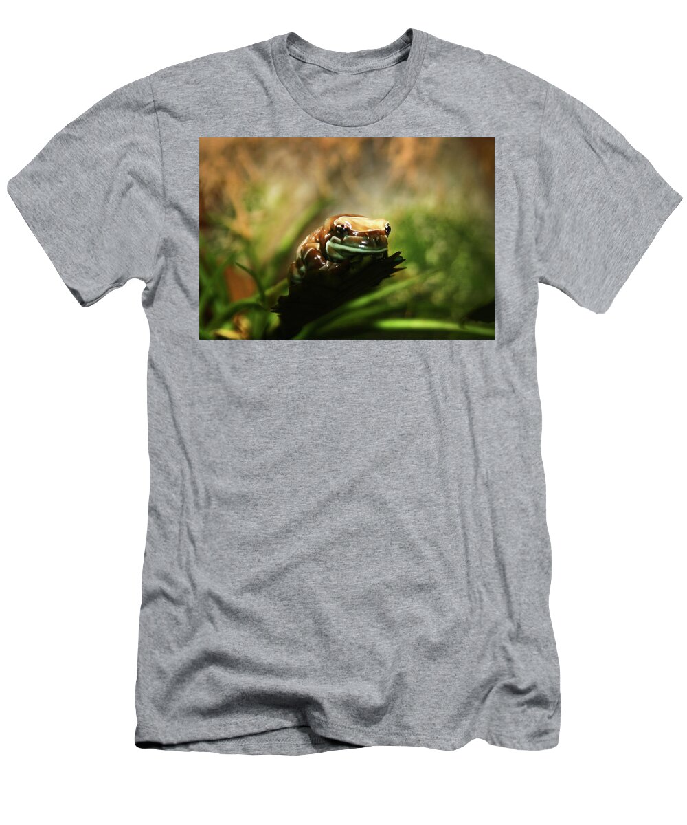 Frog T-Shirt featuring the photograph Content by Anthony Jones
