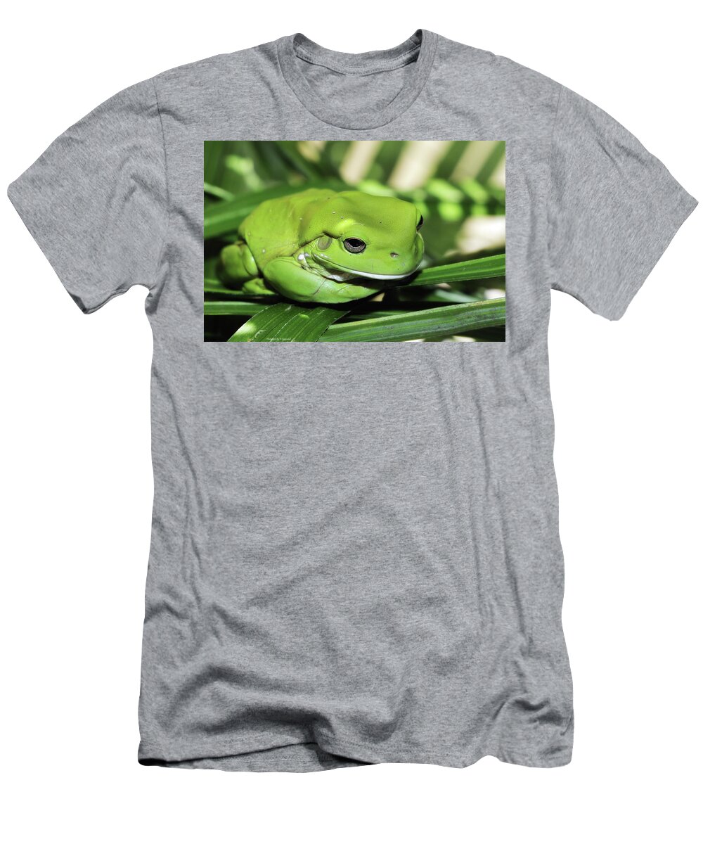 Green Frog Photography T-Shirt featuring the photograph Cool green frog 001 by Kevin Chippindall