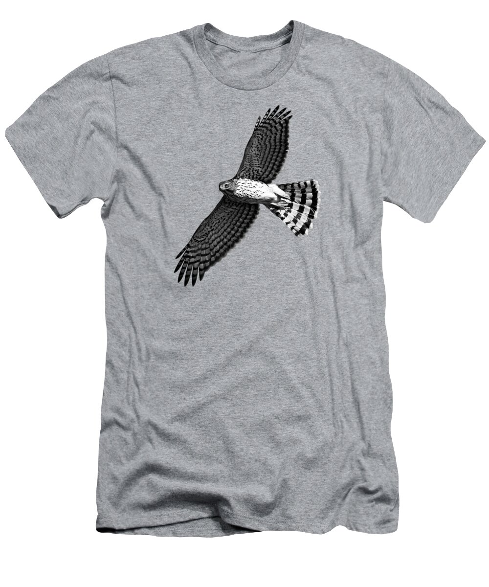 Cooper's Hawk T-Shirt featuring the photograph Cooper's Hawk in Flight by Stamp City