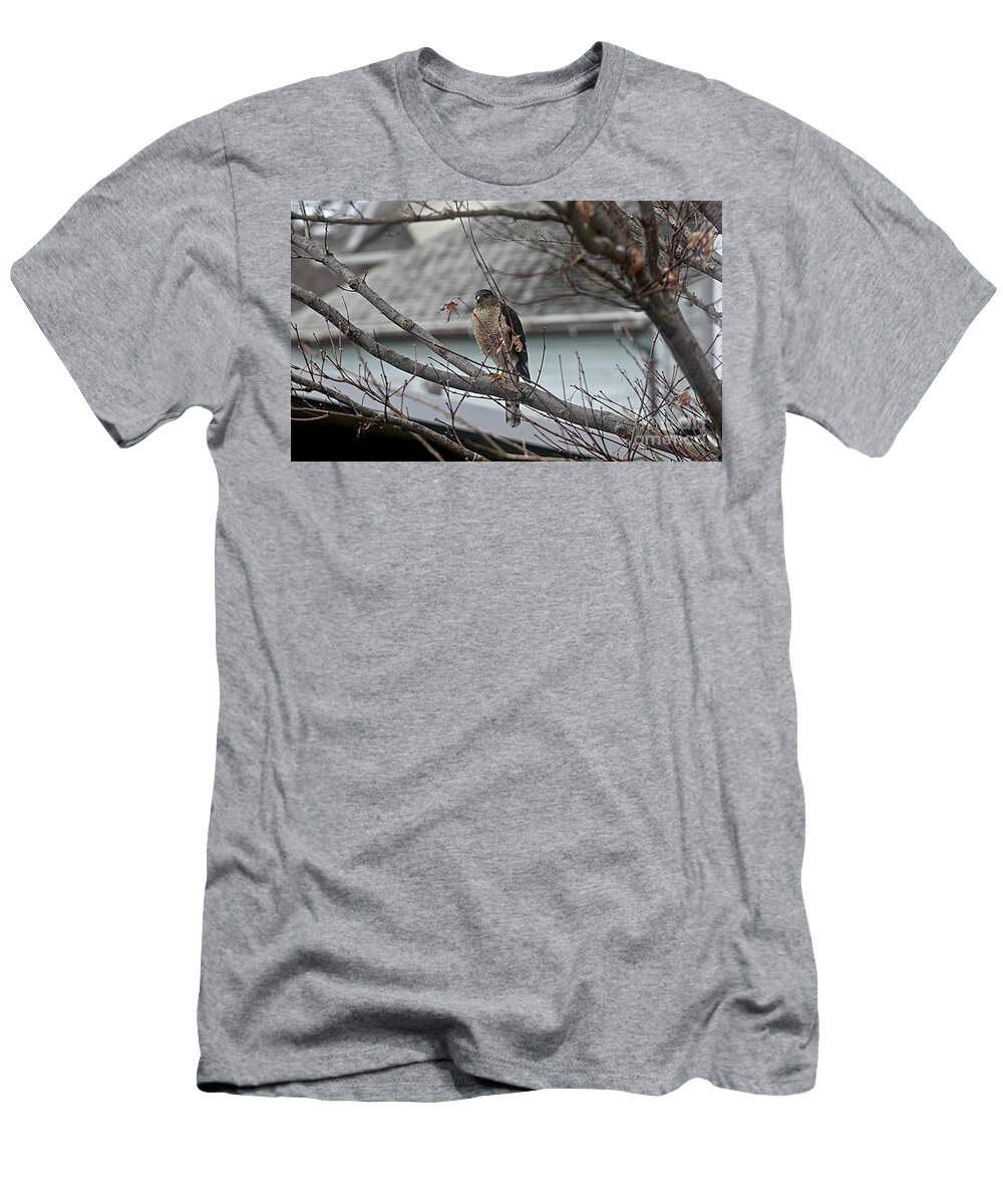Hawk T-Shirt featuring the photograph Cooper's Hawk by Yumi Johnson