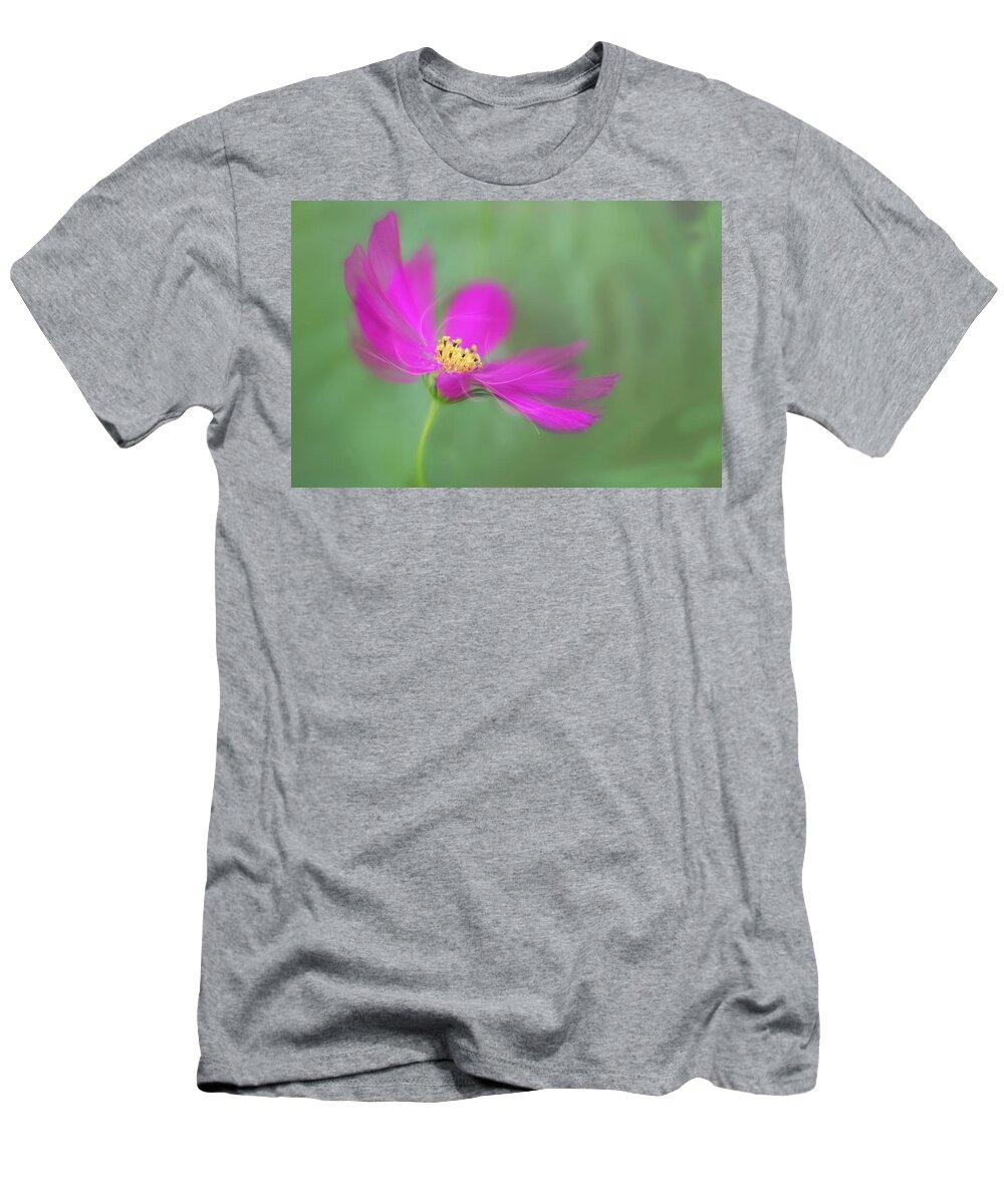 Macro T-Shirt featuring the photograph Cosmos gets ready for the prom. by Usha Peddamatham