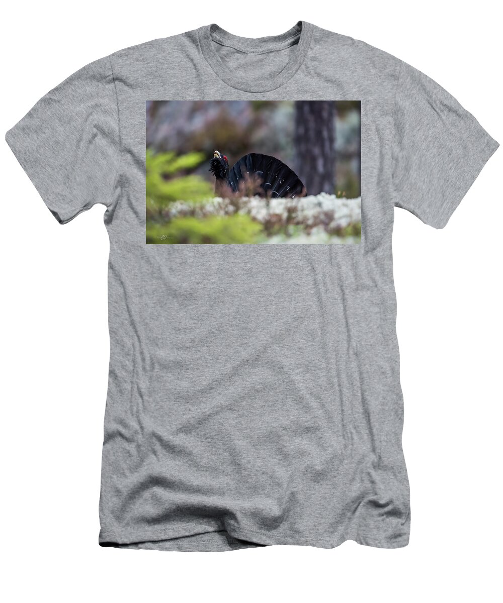 Wood Grouse Entering From Behind T-Shirt featuring the photograph Courting Woodgrouse entering from behind the edge by Torbjorn Swenelius
