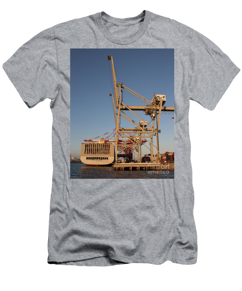 Cranes T-Shirt featuring the photograph Cranes 3 by Cheryl Del Toro