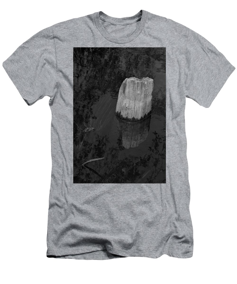Creekside Post T-Shirt featuring the painting Creekside Post by Warren Thompson