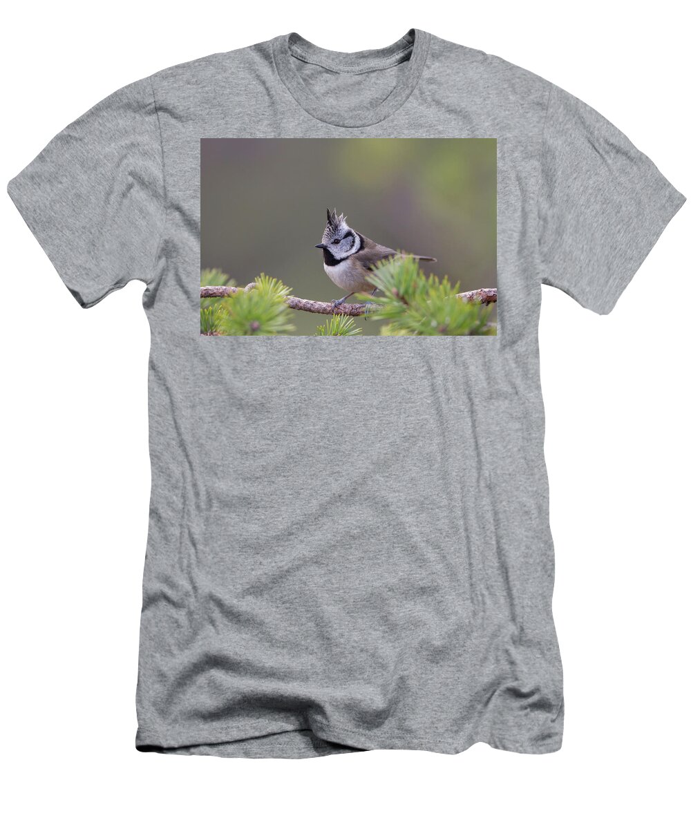 Crested T-Shirt featuring the photograph Crested Tit Pine by Pete Walkden