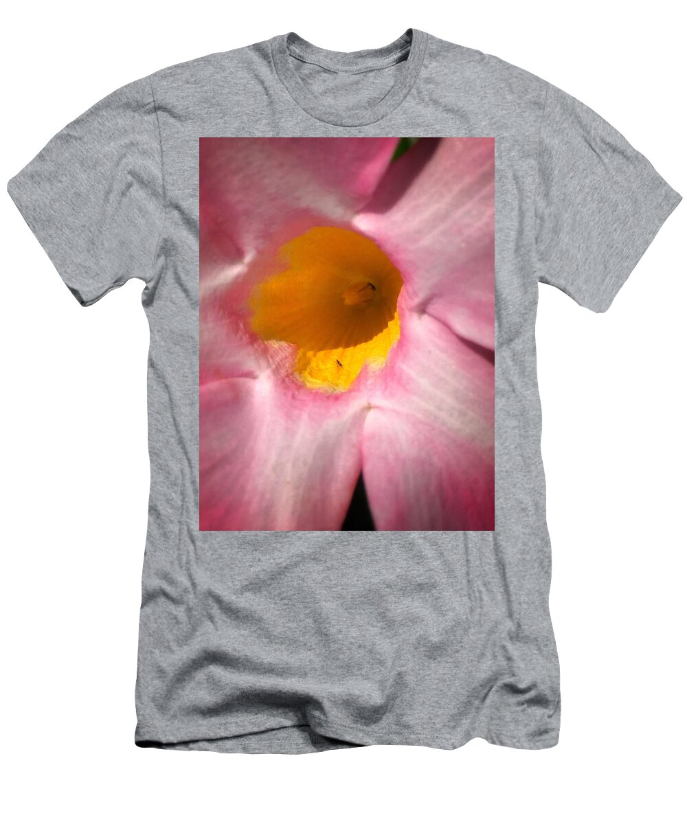 Flower T-Shirt featuring the photograph Cup of Nectar by Portraits By NC