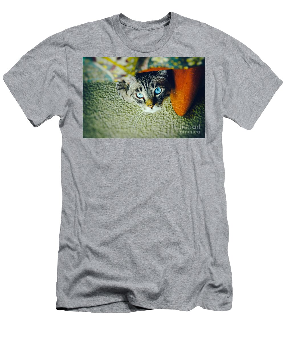 Animal T-Shirt featuring the photograph Curious kitty by Silvia Ganora