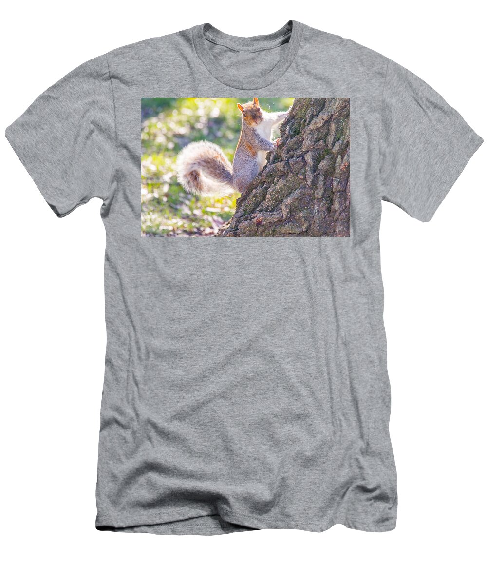 Animal T-Shirt featuring the photograph Curious Squirrel by SR Green