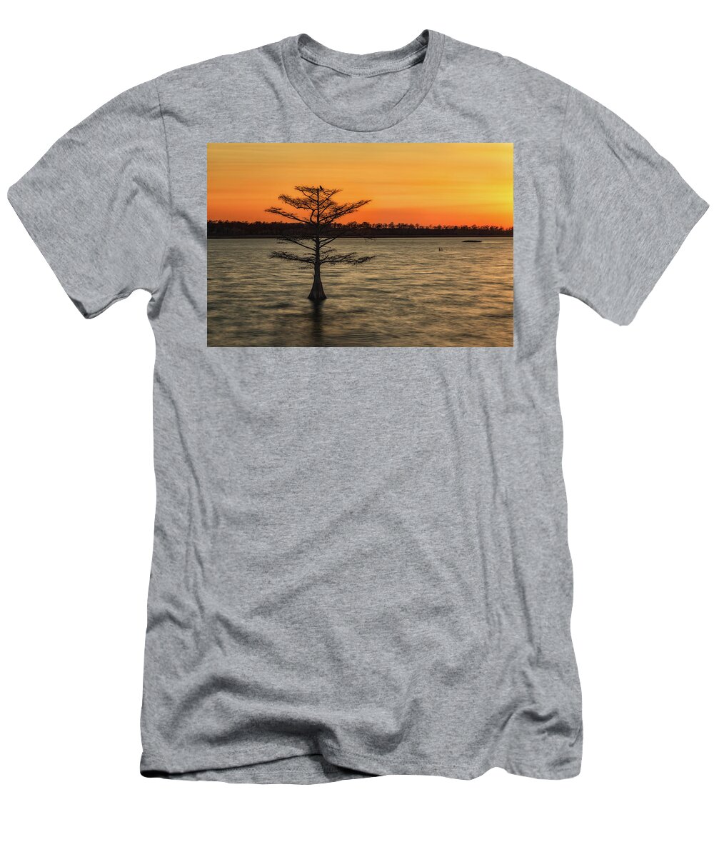 Sunset T-Shirt featuring the photograph Cypress Sunset by C Renee Martin