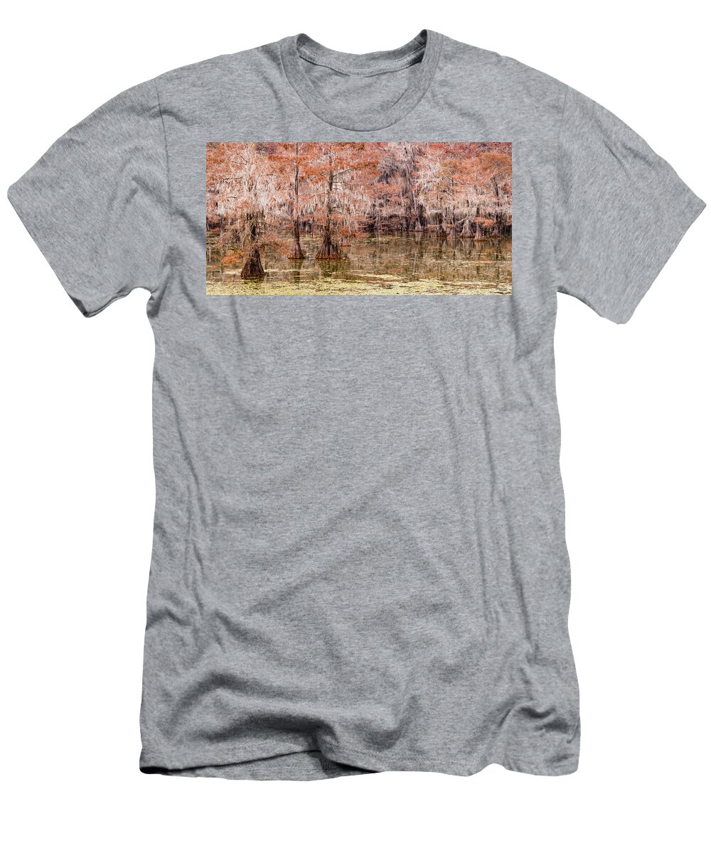 Caddo Lake State Park T-Shirt featuring the photograph cypress trees in caddo lake state park, TX by Mati Krimerman