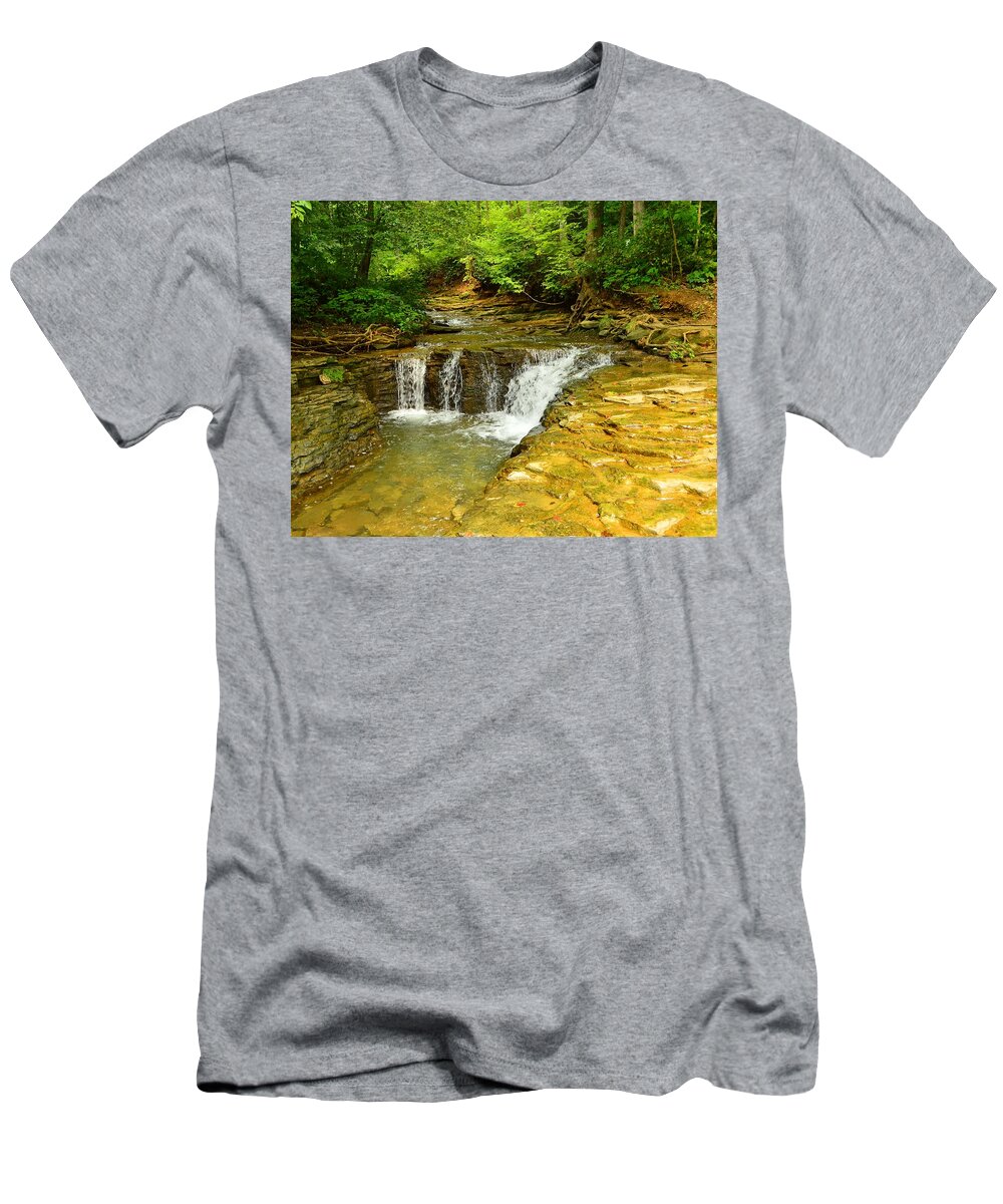 Saunder Springs T-Shirt featuring the photograph Saunders Springs, Kentucky by Stacie Siemsen