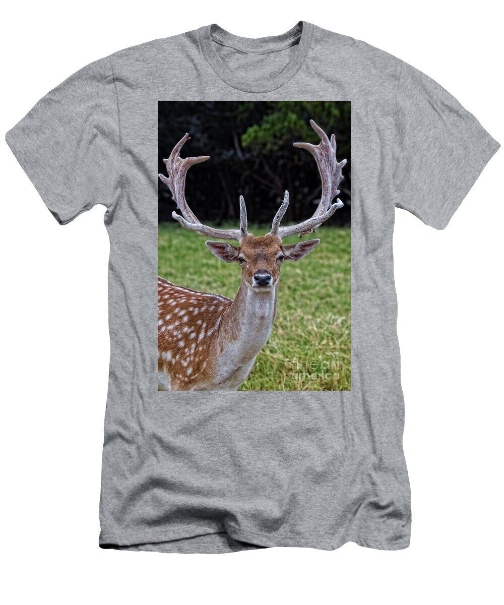 Deer T-Shirt featuring the photograph Deer Portrait V3 by Douglas Barnard
