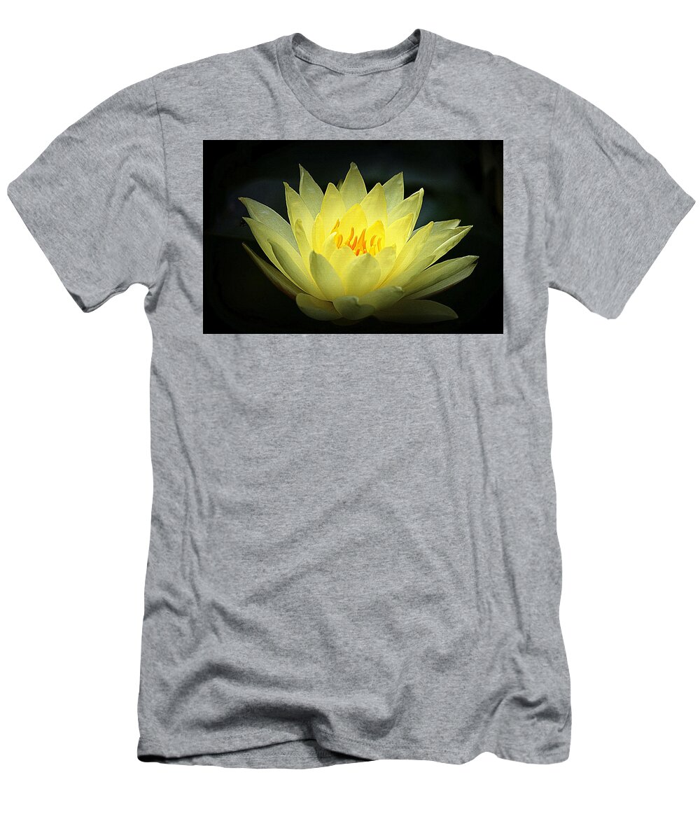 Flower T-Shirt featuring the photograph Delicate Water Lily by Lori Seaman
