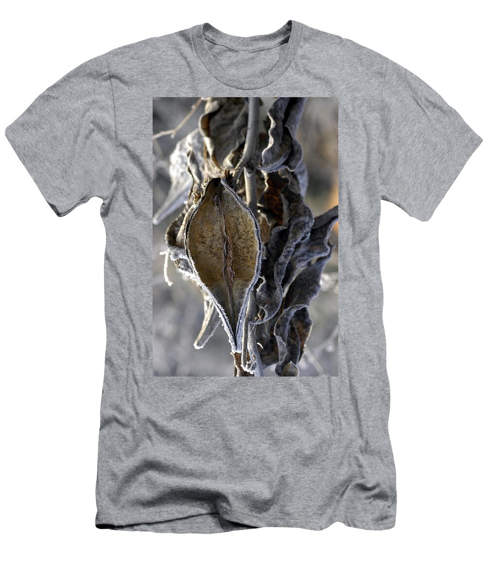 Milkweed T-Shirt featuring the photograph Delivered - Milkweed by DArcy Evans