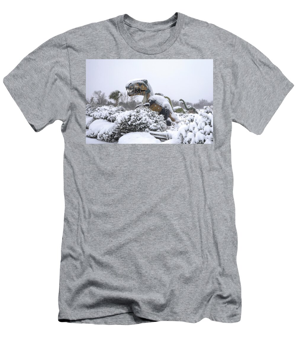 Photosbymch T-Shirt featuring the photograph Demise of the dinosaurs by M C Hood