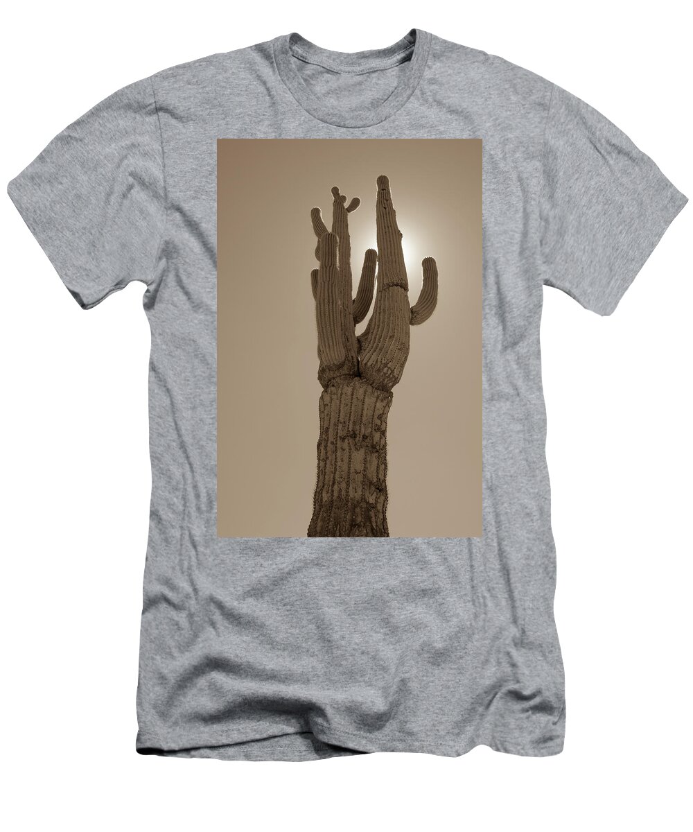 Desert T-Shirt featuring the photograph Desert cactus by Darrell Foster
