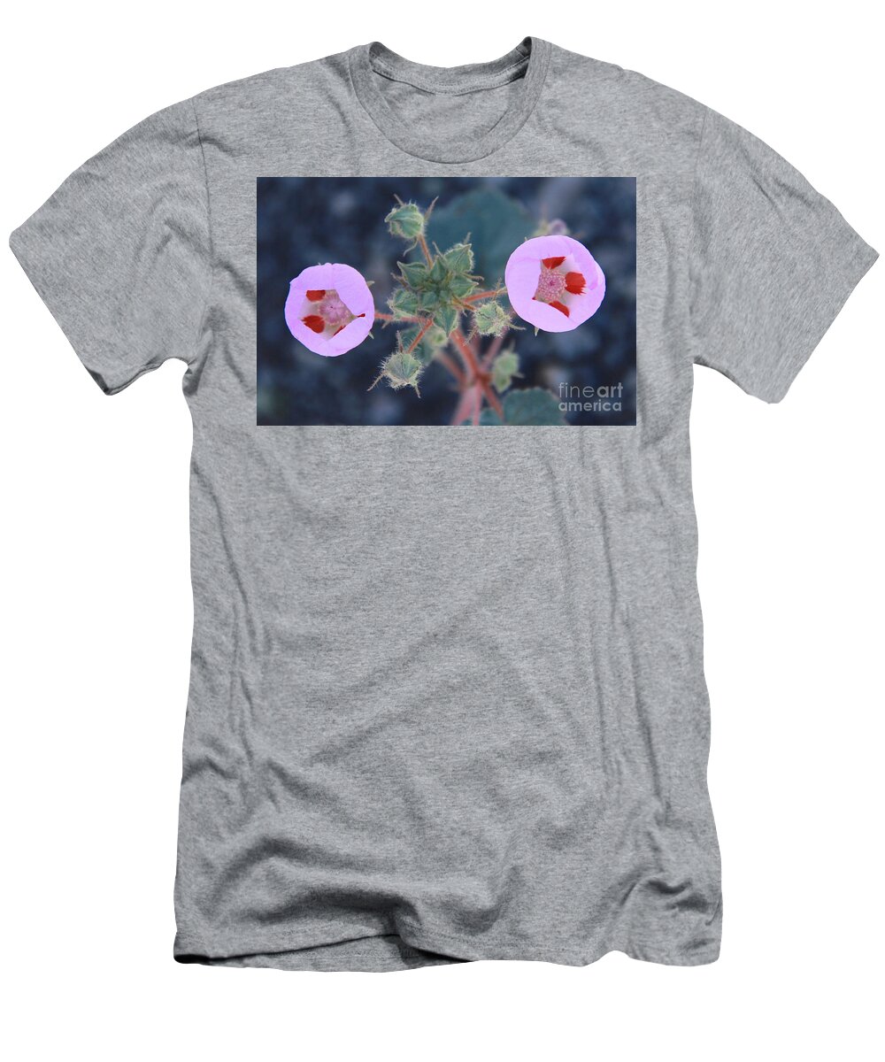 Wild Flowers T-Shirt featuring the photograph Desert Five Spot by Suzanne Oesterling