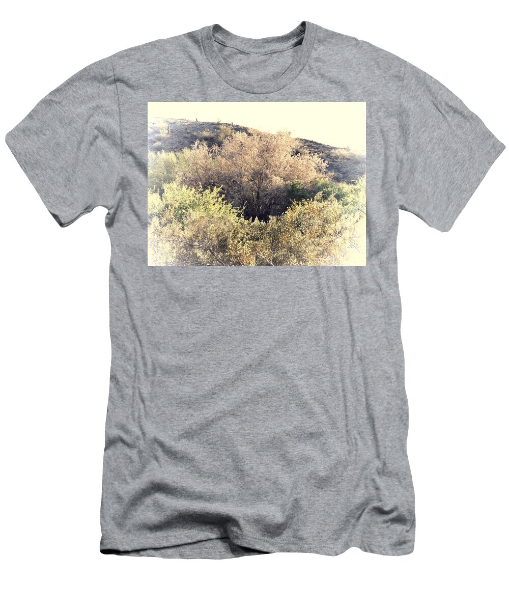 Afternoon Light T-Shirt featuring the photograph Desert Ironwood Afternoon by Judy Kennedy