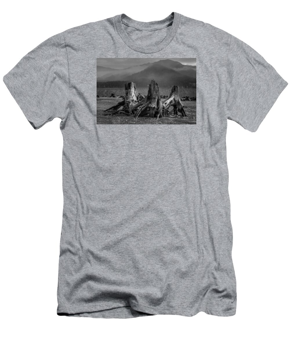 Conservation T-Shirt featuring the photograph Detroit Lake, Oregon by Scott Slone