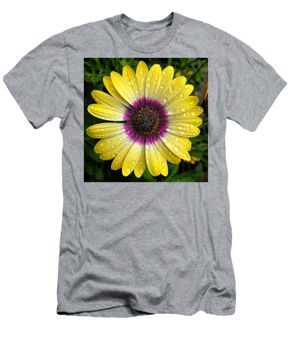 Daisy T-Shirt featuring the photograph Dew Dropped Daisy by Brian Eberly