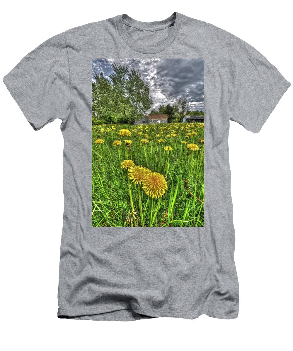 Dandelions T-Shirt featuring the photograph Dlion Delit by Jeff Cooper