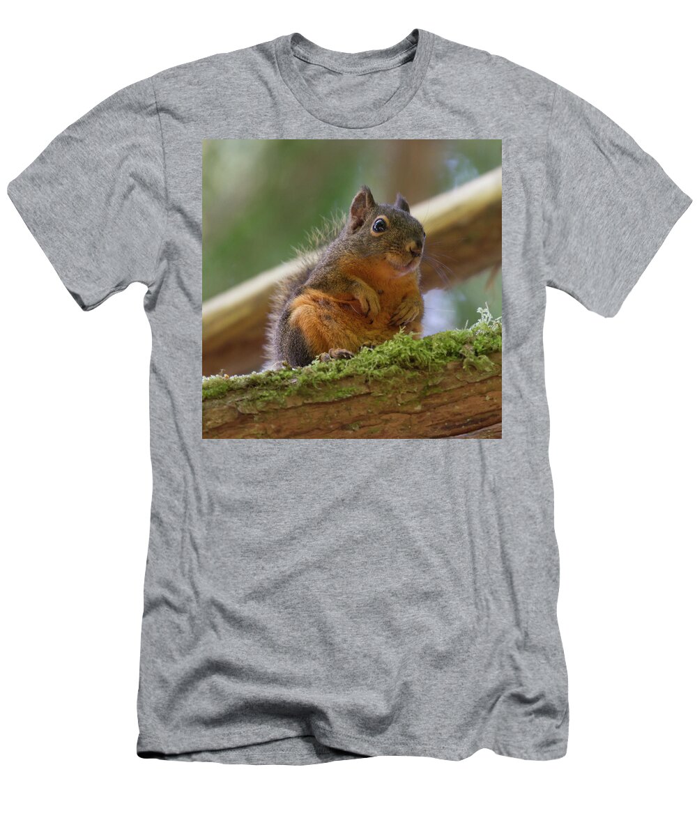 Squirrel T-Shirt featuring the photograph Douglas Squirrel by Paul Rebmann