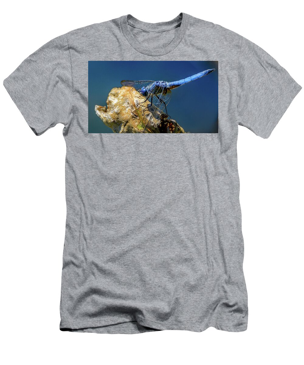 Dragon Fly T-Shirt featuring the photograph Dragon Fly by Jerry Cahill
