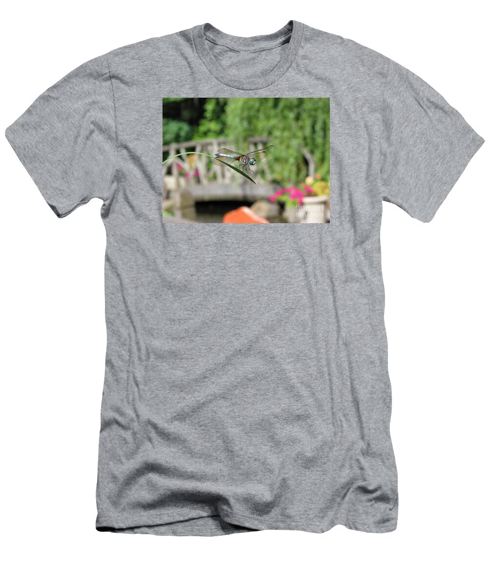 Dragonfly T-Shirt featuring the photograph Dragonfly by Michael Krek
