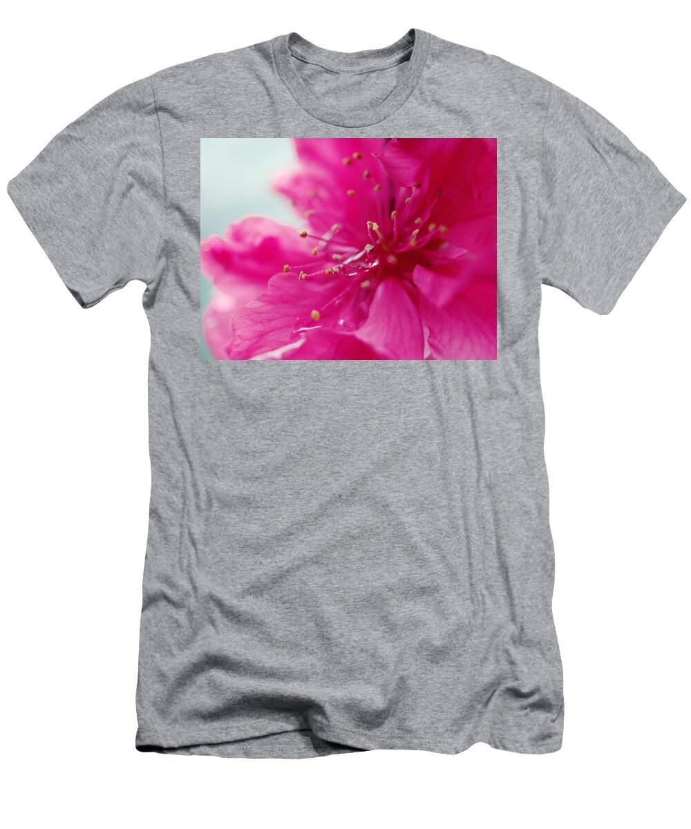 Cherry Blossom T-Shirt featuring the photograph Dreaming in Pink by Yuka Kato