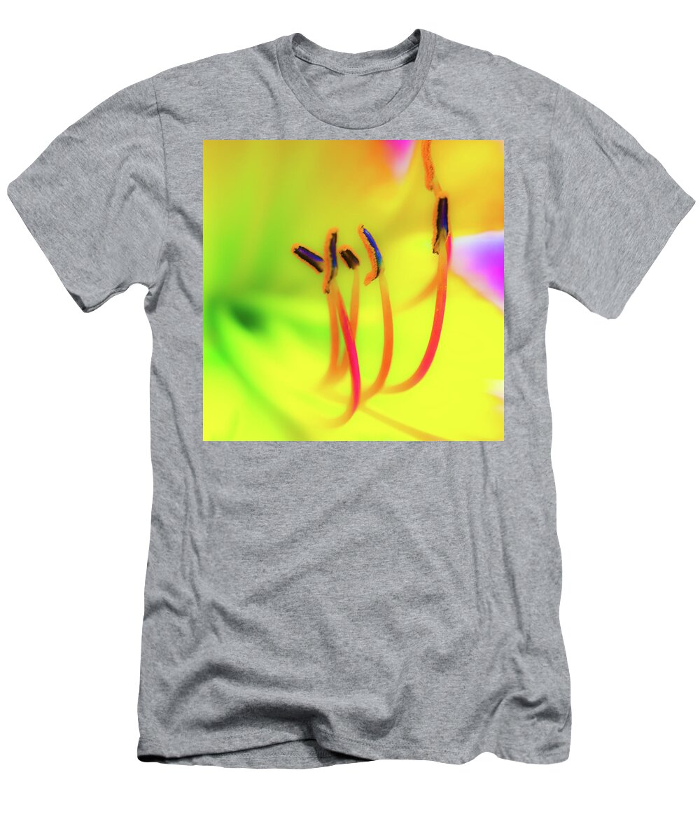 Cleveland Botanical Gardens T-Shirt featuring the photograph Dreamy Daylily by Stewart Helberg