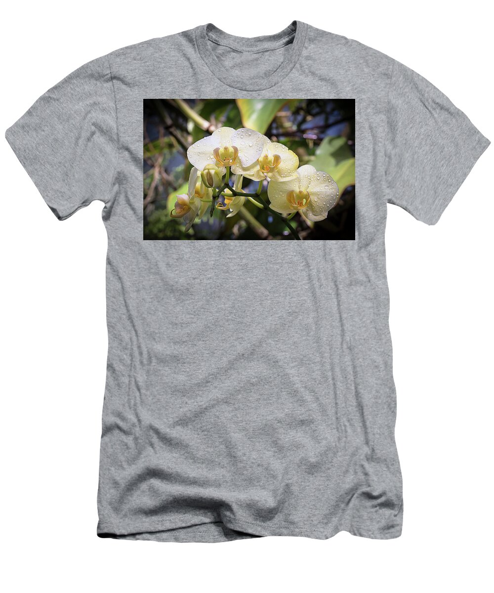 Selby T-Shirt featuring the photograph Early Morning Orchids by Richard Goldman