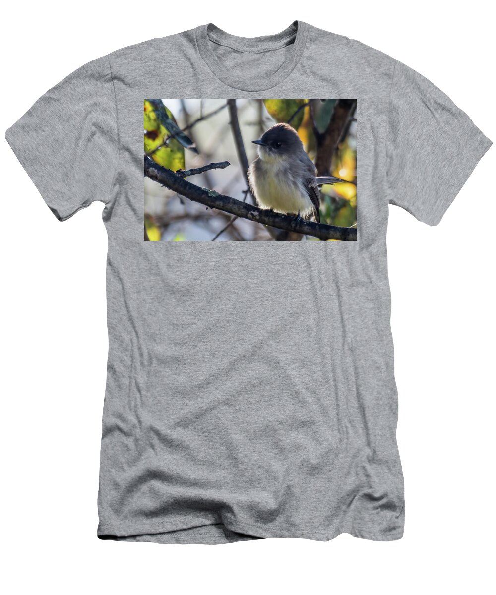 Wildlife T-Shirt featuring the photograph Eastern Phoebe by John Benedict