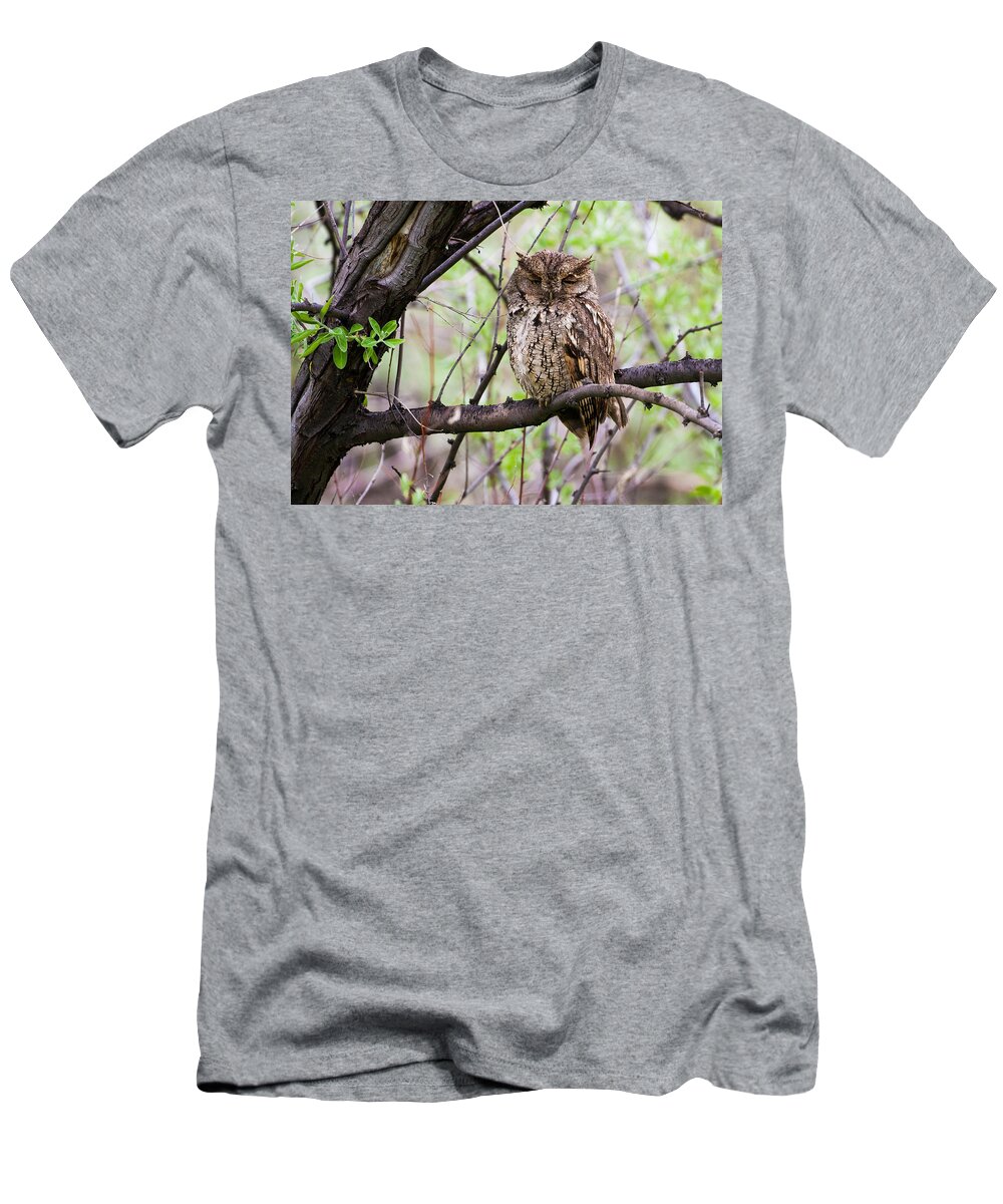 Eastern Screech Owl T-Shirt featuring the photograph Eastern Screech Owl #3 by Mindy Musick King