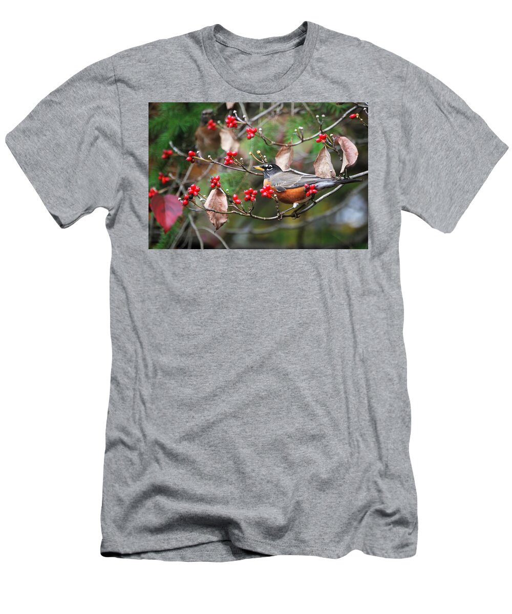Robin T-Shirt featuring the photograph Easy Pickings Robin by Sonja Jones