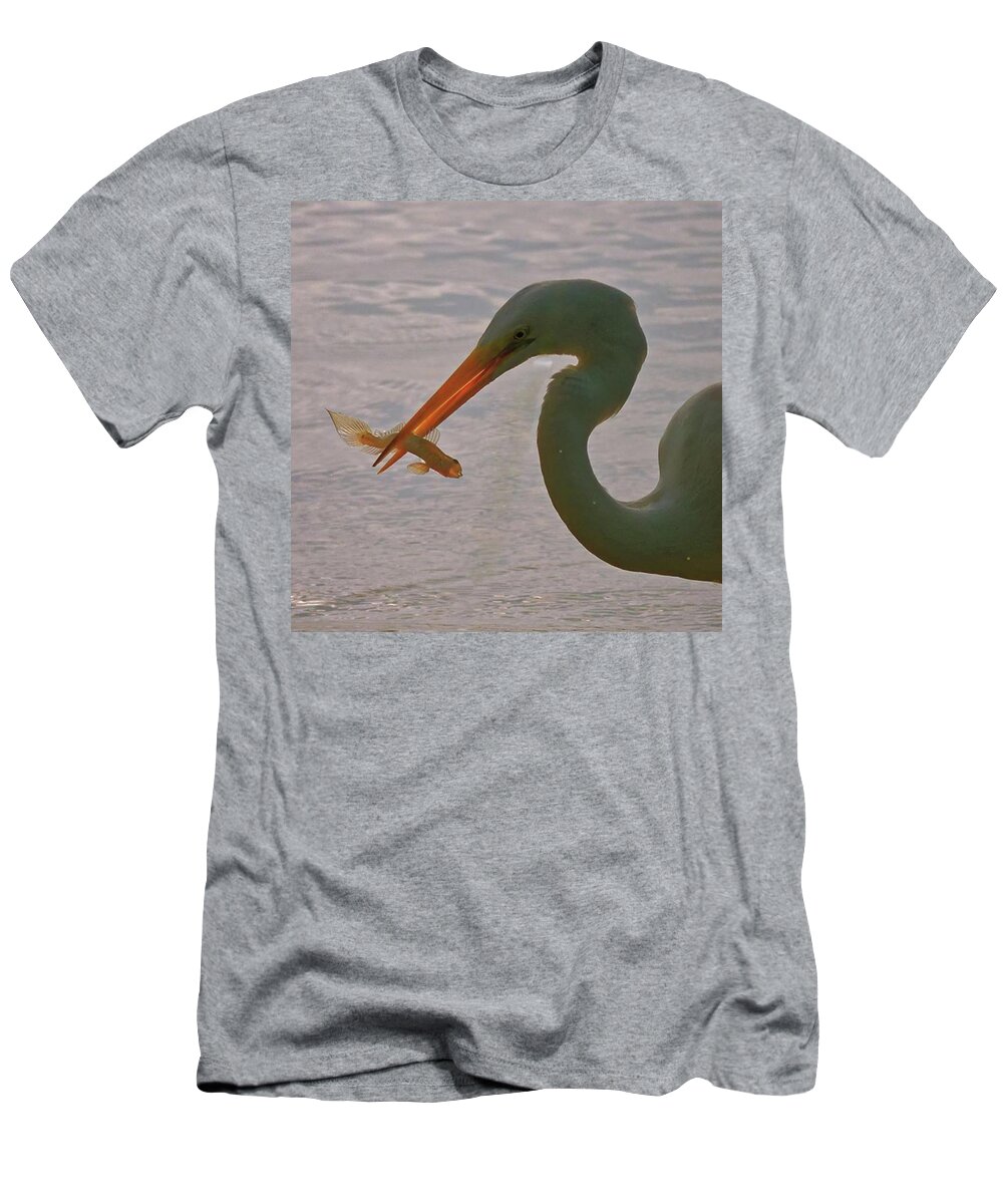 Wildlife T-Shirt featuring the photograph Egret With A Strange Fish In Its Beak by Marvin Reinhart