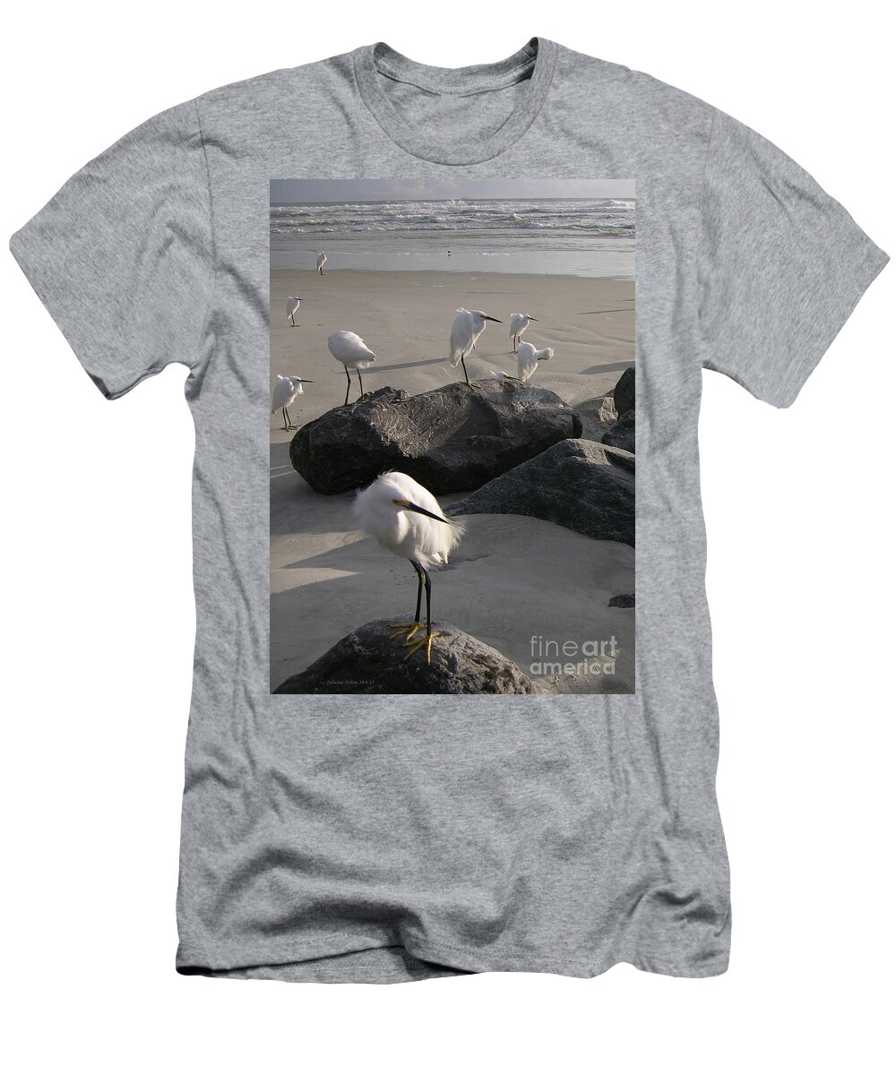 Photography T-Shirt featuring the photograph Egrets 10-6-15 by Julianne Felton