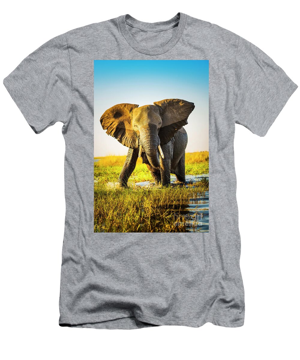 Elephant T-Shirt featuring the photograph Elephant Charging by THP Creative