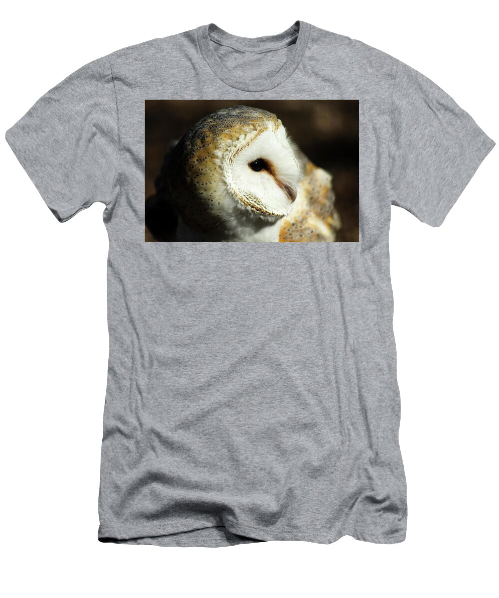 Owl T-Shirt featuring the photograph European Barn Owl by Holly Ross