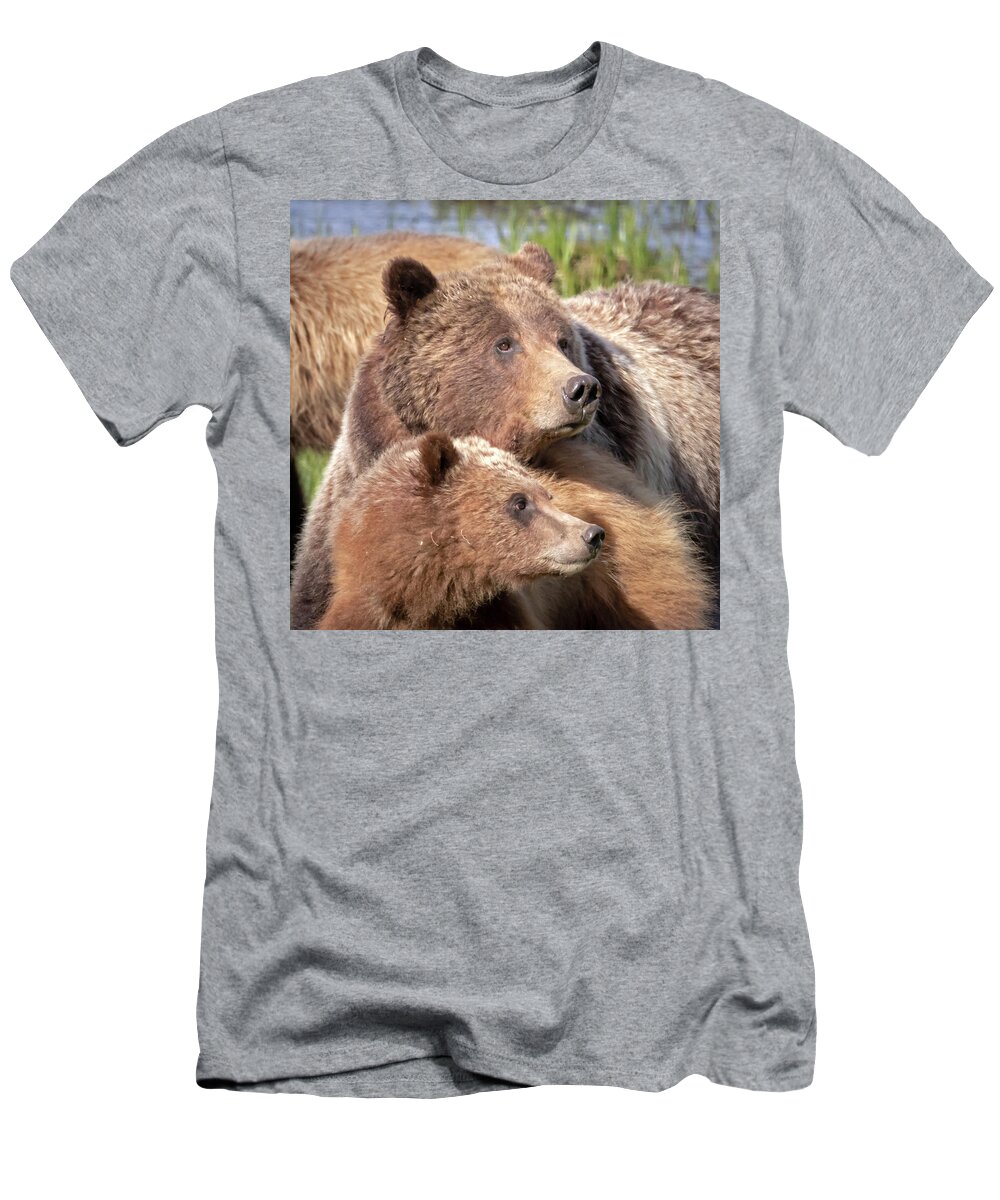Grizzly Bear T-Shirt featuring the photograph Ever Watchful Mother by Jack Bell