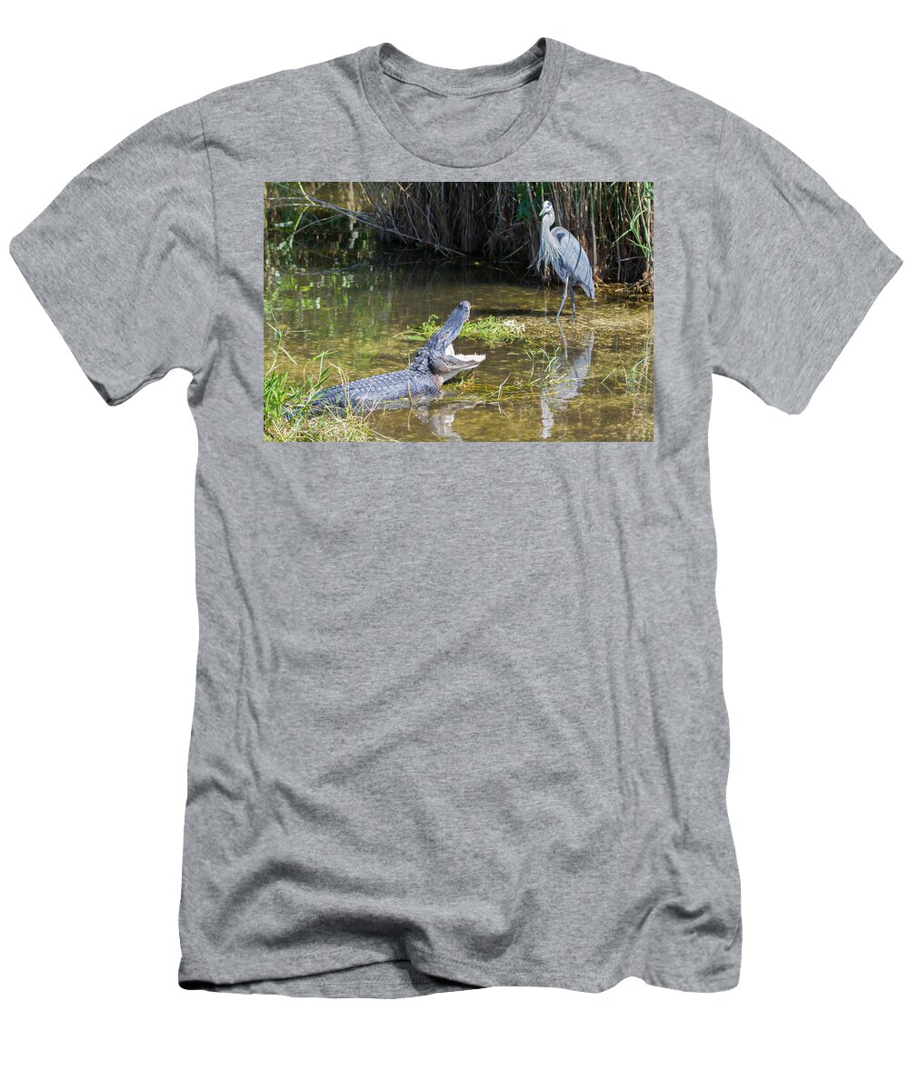 Everglades National Park T-Shirt featuring the photograph Everglades 431 by Michael Fryd