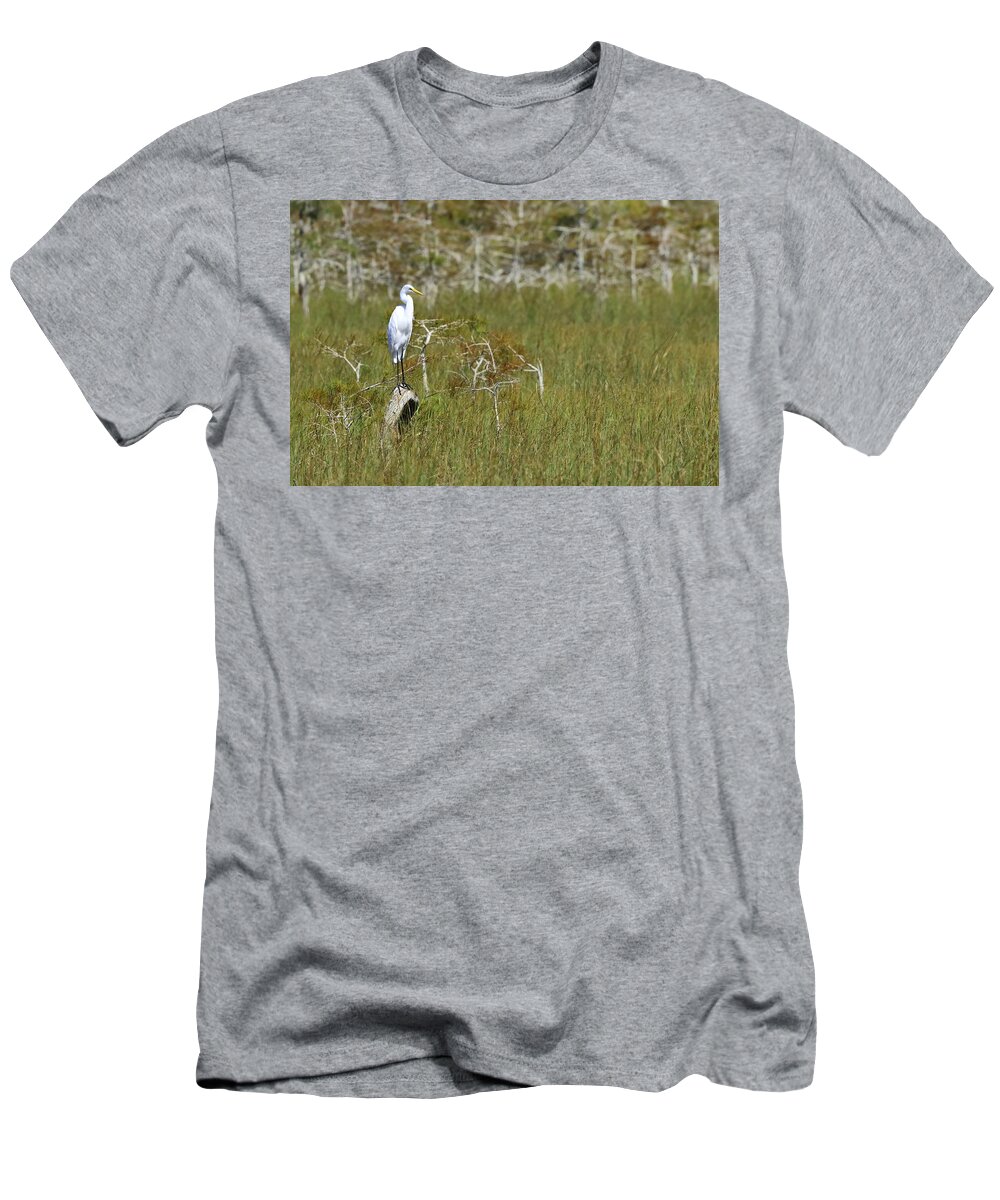 Everglades National Park T-Shirt featuring the photograph Everglades 451 by Michael Fryd