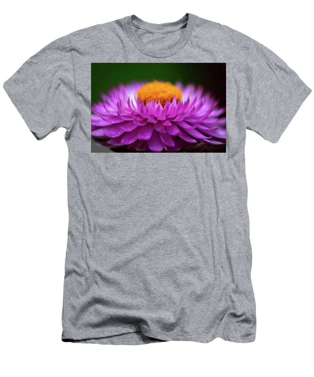 Flower T-Shirt featuring the photograph Everlasting by Carrie Hannigan