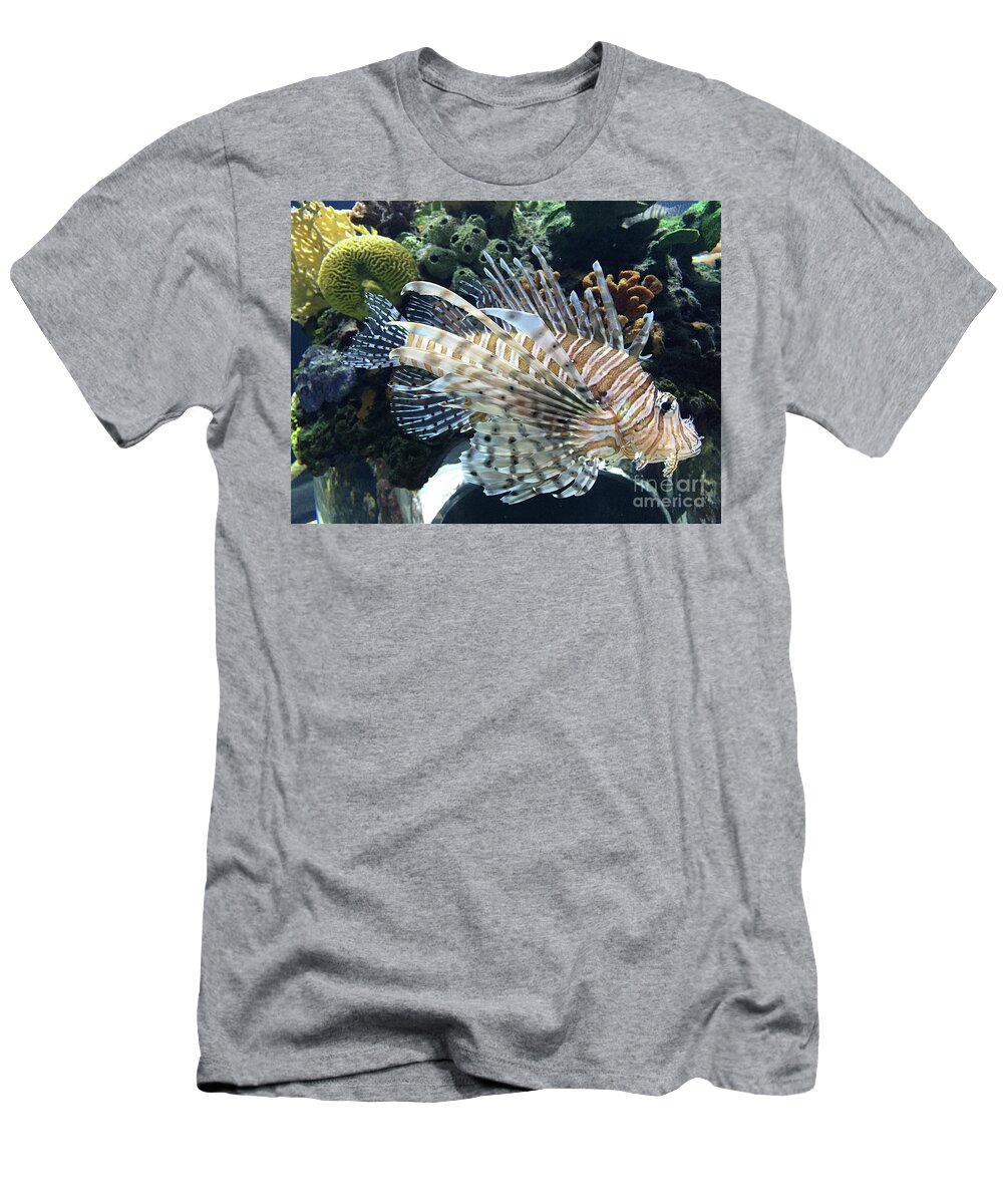 Fish T-Shirt featuring the photograph Exquisite Fish by Barbara Plattenburg