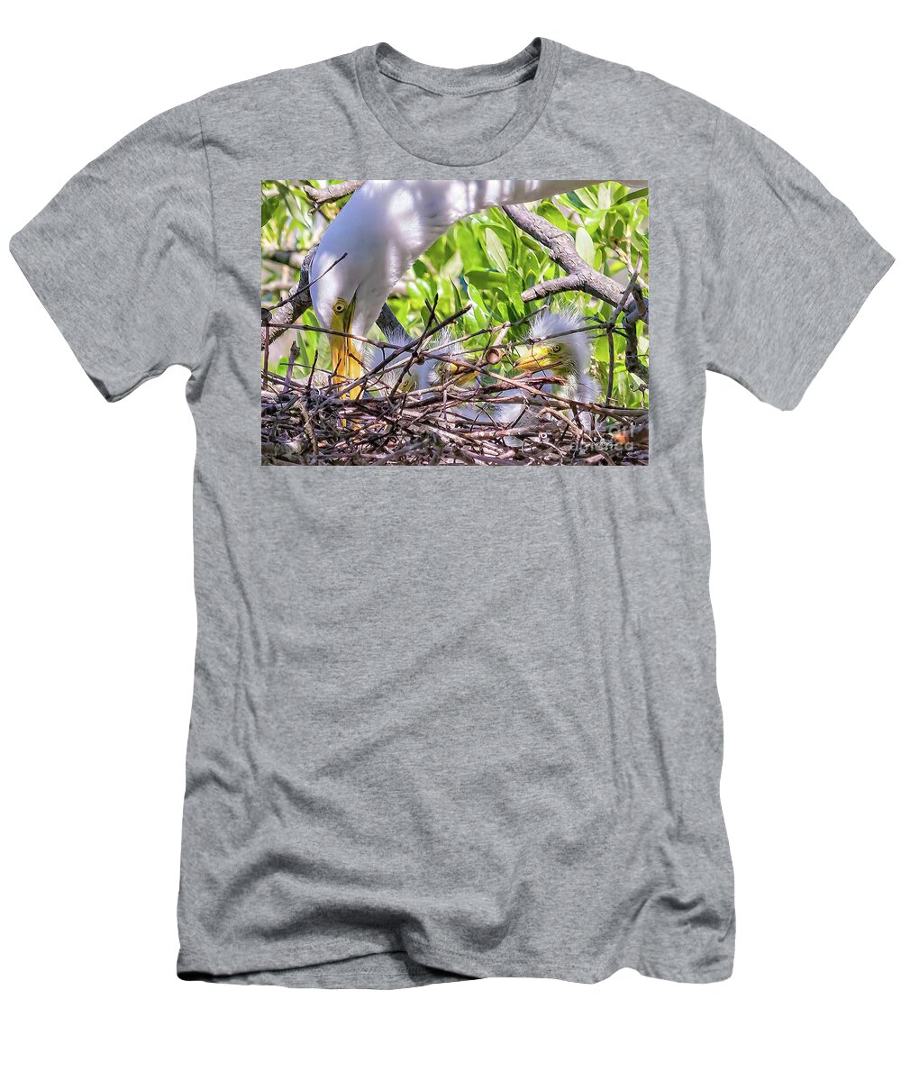 Egrets T-Shirt featuring the photograph Eyes by DB Hayes