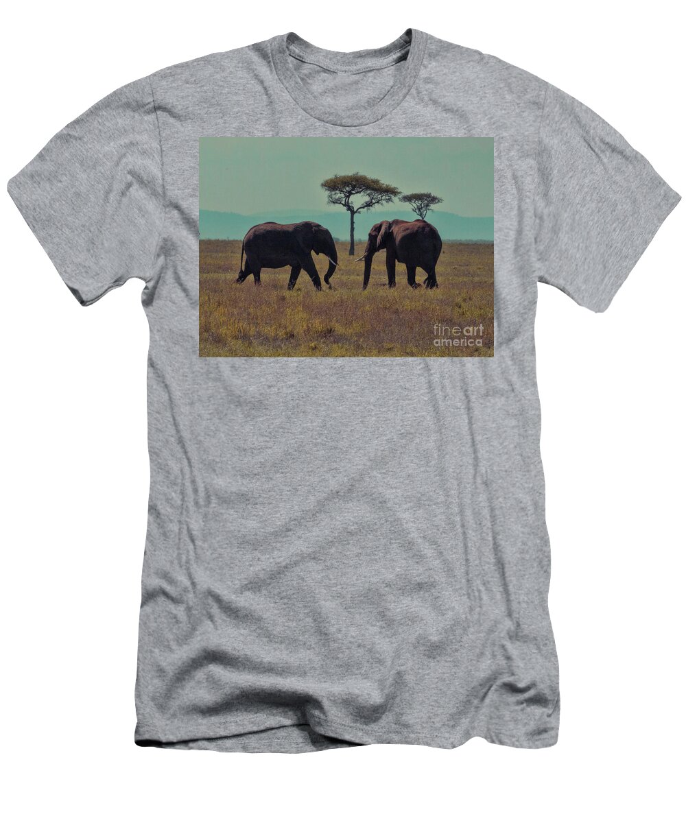 Elephants T-Shirt featuring the photograph Family by Karen Lewis